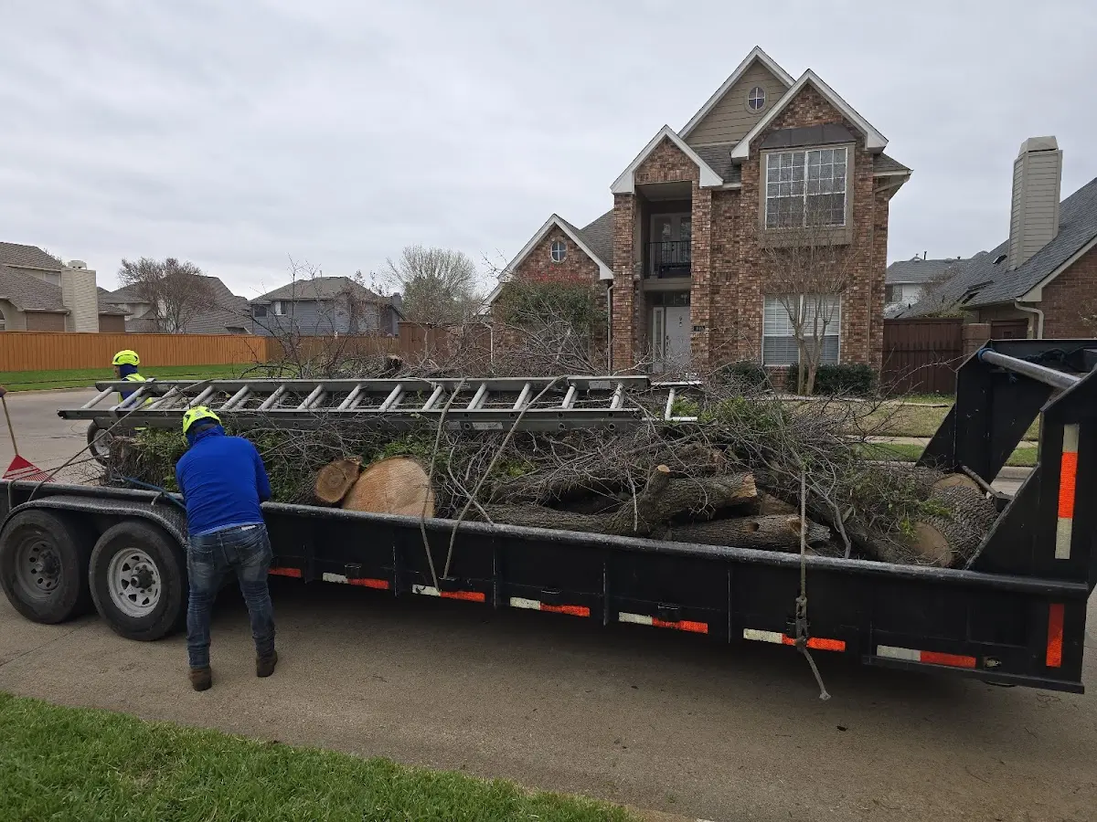 Expert Tree Fertilization with proper safety equipment in Chuckey